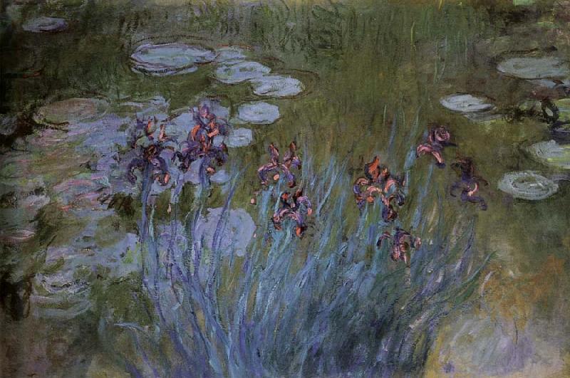 Claude Monet Irises and Water Lillies China oil painting art